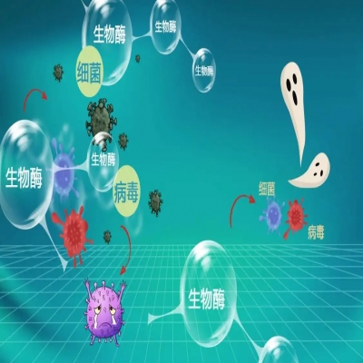 生物酶治理你问我答